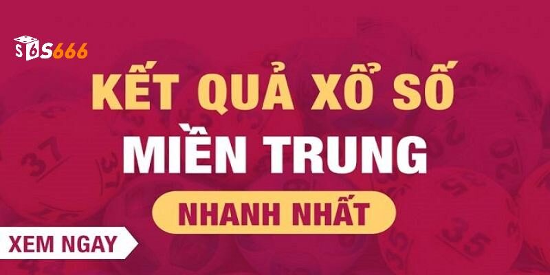 Kết quả luôn được cập nhật nhanh chóng, chính xác cho thành viên